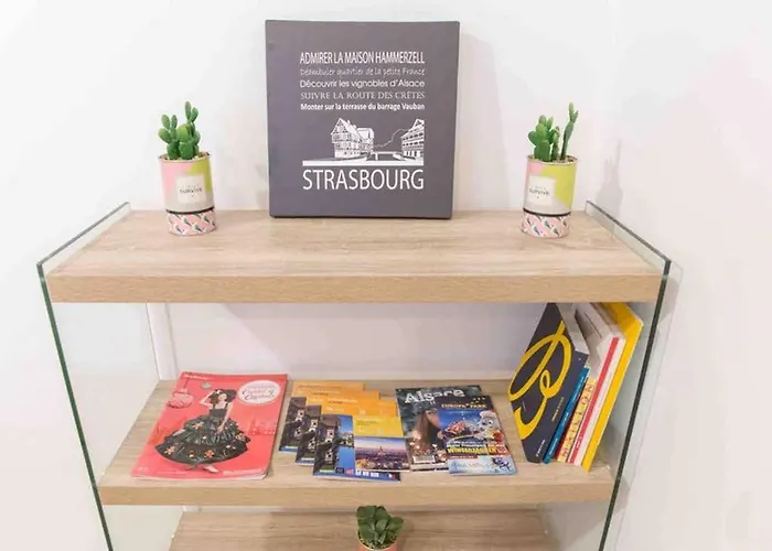 La Cour Du Faubourg 1 Lejlighed *